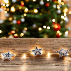LED Star Christmas Garland White Gold Black 200 cm