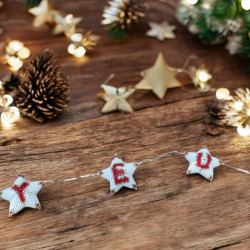 "Joyeux Noël" star light garland